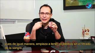 David Jonatan Ampudia Chávez-46