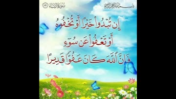 سورة النساء الآية ( 149 )