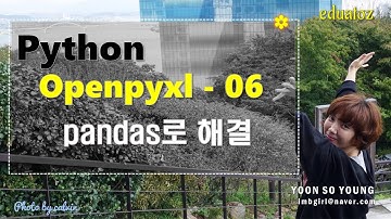 [PYTHON][openpyxl-06, pandas 맛보기] 행/열을 제거하는 작업을 pandas로 해결하기