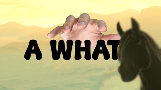 Horse Just Found the Most Incredible Thing EVER!