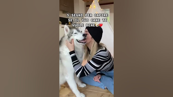 5 SEGNI per capire se il tuo CANE ti vuole veramente BENE!🤭🥰 #dog #dogchallenge #husky