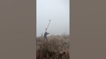 Ar 15 with Fostech Echo Sport Trigger