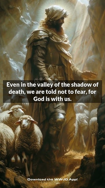 what-does-psalm-23-teach-us-about-god-psalm-23-often-referred-to