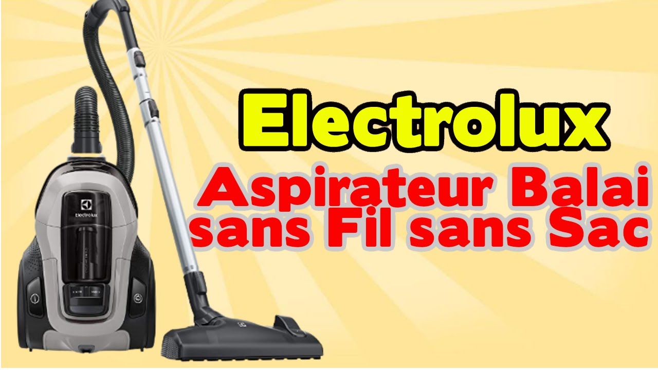 Electrolux Pure C9 PC91-6MG - Aspirateur - traineau - sans sac - gris