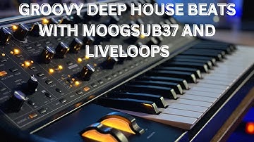 Beat making with moog sub37 arpeggios and logic live loops