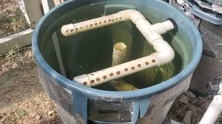 Radial Flow Settling Tank for the 100 Gallon Fish Tank Aquaponics Setup  230715