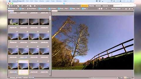 Shoot circular star trails