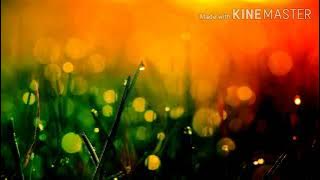 KO MAU CARI YANG BAGAIMANA