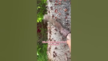 Bốn cáu chuyện ngắn nhưng bài học dài , nghe đi rồi ngẫm nhé#xu hướng