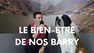 Le bien être de nos Barry