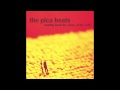Shallow dive by the pica beats