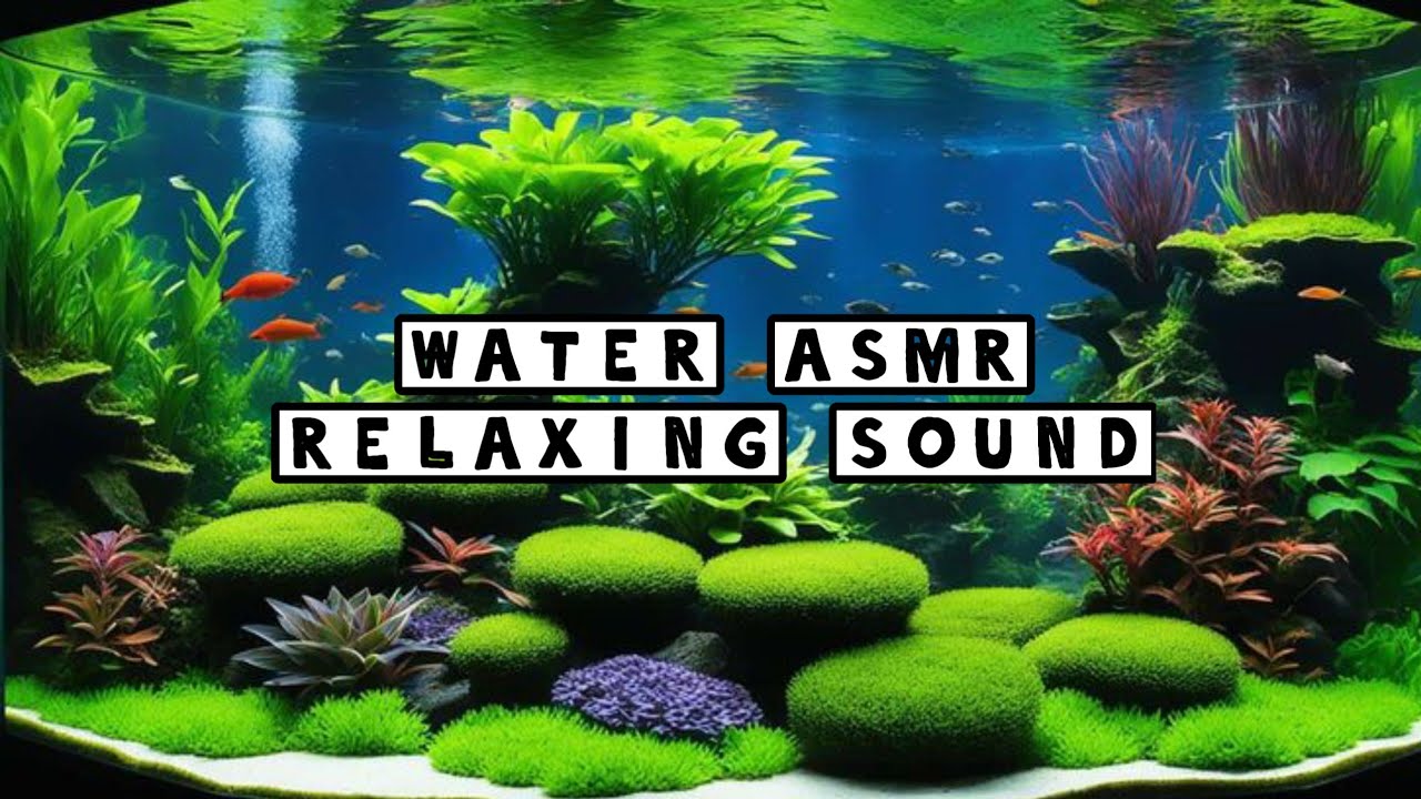 LIVE WATER ASMR - RELAXING SOUND