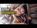 РАЗВЕЗЛИ ДРОВА БАБУШКАМ И ДЕДУШКАМ. Русская деревня.