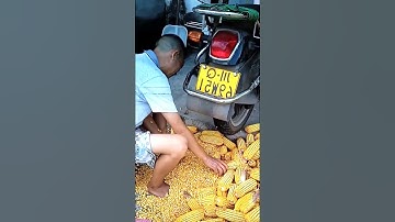 Two ways to remove corn kernels#shorts