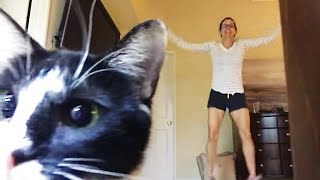 CATS vs WOMEN 😼👩🏻 | Funny CAT VIDEOS Compilation | Peachy 2023