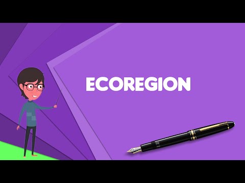 What is Ecoregion? Explain Ecoregion, Define Ecoregion, Meaning of Ecoregion