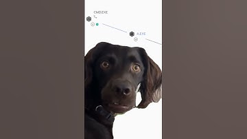 Day in the Life of a Cyber Security Analyst #cybersecurity #cyberanalyst #hacker