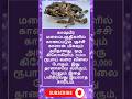 அன்றாட வாழ்க்கையில்🌺 பயன்படும் அறிவு தகவல்கள்#tamilgk #tamilsong #tamilshorts #short #gk #trending🎯