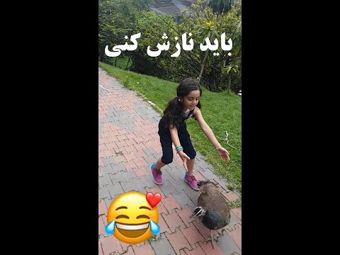 تصویری: بازدید از پارک پرندگان زیبای KL کوالالامپور