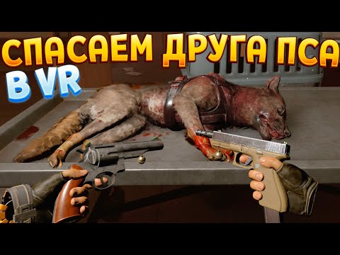 ПЁС В ОПАСНОСТИ В ВР НУЖНА ПОМОЩЬ ( Arizona Sunshine 2 VR )