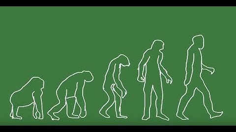 CACM Nov. 2016 - "Sex as an Algorithm"