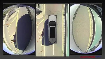 SVM demo with various cases