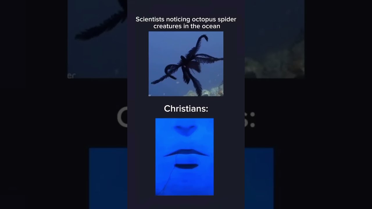 EXPLANATION They Look Like Angels Described In The Bible Ocean Angel Christian