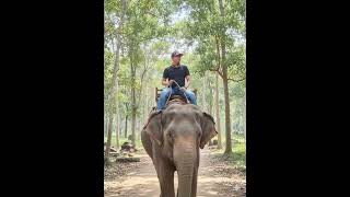 Download Lagu topik timur gajah MP3 Download Lagu topik timur gajah MP3