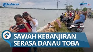 Download Lagu Jadi Ruang Rekreasi Dadakan, Genangan Banjir 17 Hektare Sawah di Ngusikan Jombang MP3