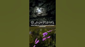 ان أنكر الأصوات لصوت الحمير | ياسر الدوسري | سورة لقمان 💙🎧