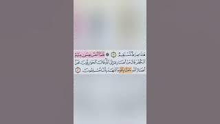 تيسير حفظ سورة ال عمران بالتكرار ربع (فلما احس عيسي) مكرر 3 مرات بصوت الشيخ عبد الباسط