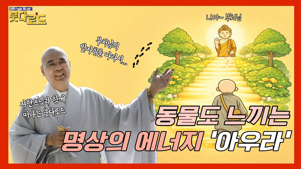 [붓다로드 시즌2-36] 내 인생의 문을 여는 법! 자현스님이 들려주는 부처님의 위대한 선언 '불사의 문은 열렸다'