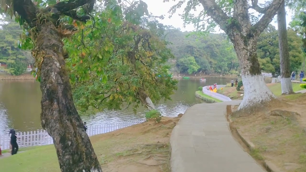 The Ward's Lake Beauty of Shillong.