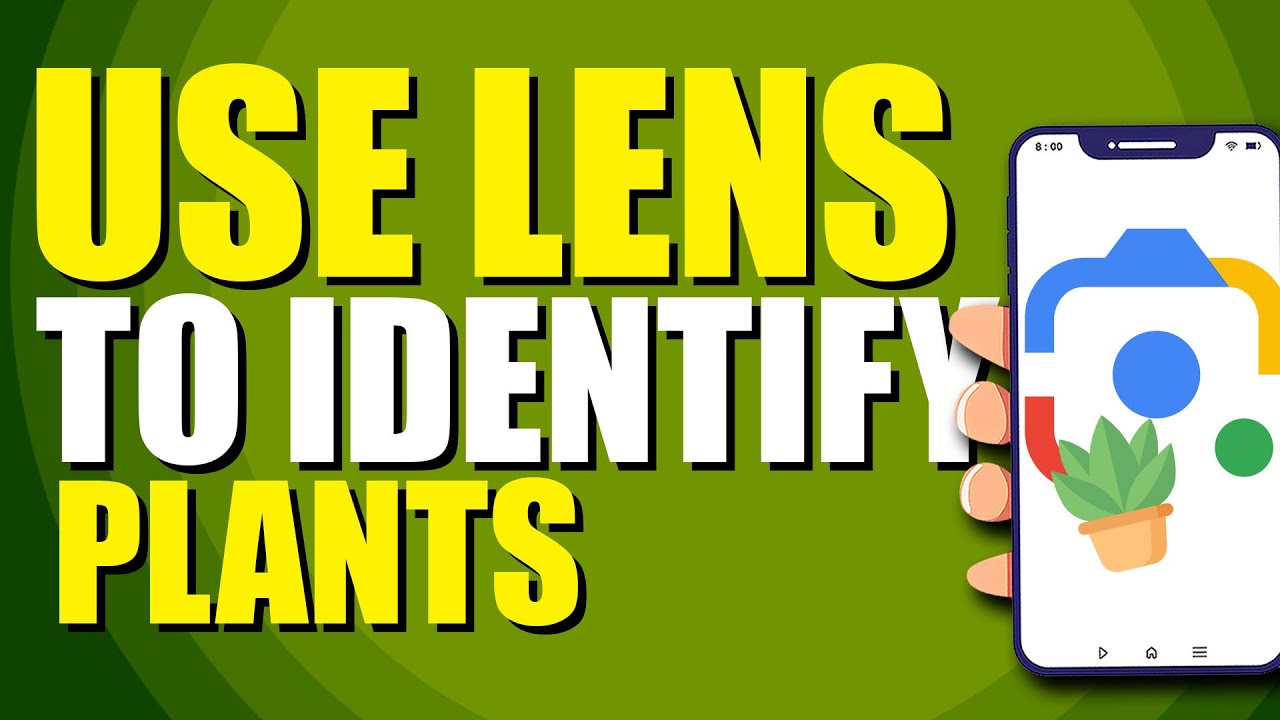How To Use Google Lens To Identify Plants (Quick & Easy)