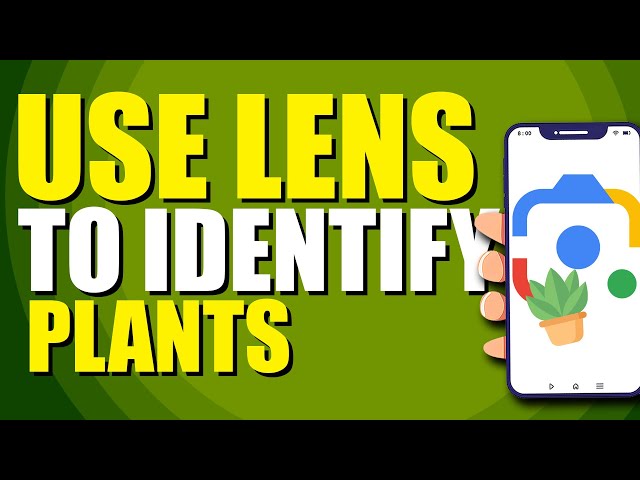 How To Use Google Lens To Identify Plants (Quick & Easy)