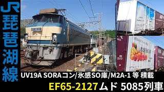 [2016年] 5085レ EF66-30+EF65-2127ムド・UV19A SORAコン/UF17A 氷感SO庫/M2A-1 車輪コンテナ 等 積載 琵琶湖線