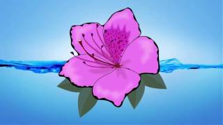 Flower Clipart Images Flower Clipart Images
