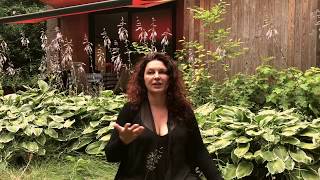 Why I Wrote The Wild Woman's Way