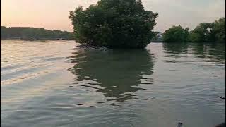 View Spot  mancing 100 jt umat | Batuan | PRAPAG LOR