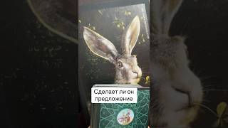 Сделает ли он предложение