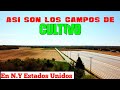 ASI SON LOS CAMPOS DE CULTIVOS DE LOS ESTADOS UNIDOS...INCREÍBLE