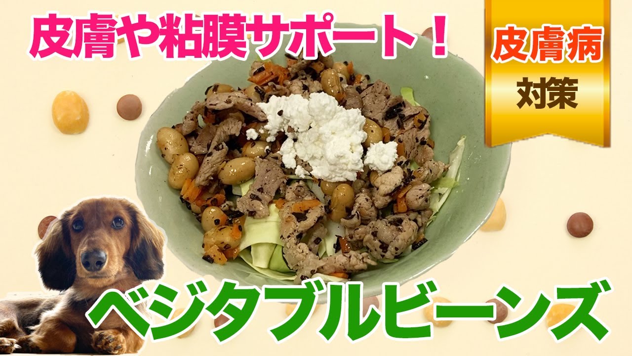 愛犬手作りご飯 皮膚や粘膜サポート シニア犬もおすすめ ベジタブルビーンズ Youtube 愛犬手作りご飯 皮膚や粘膜サポート シニア犬もおすすめ ベジタブルビーンズ Youtube