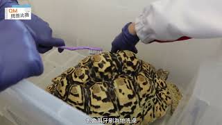 Publication Date: 2024-05-29 | Video Title: 第二屆全港小小導賞員大賽 - 我的學校(港澳信義會慕德中學)