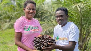 Ghanaian Chemical Engineer Graduate Put Aside His Degree & Invest 250k In 106 Acres Of Oil Palm Farm