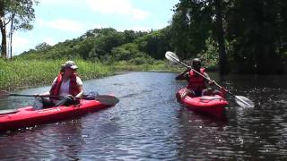 Suriname. Kayakken op de Coropinakreek