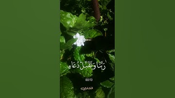 (سورة ابراهيم) (آية ٤٠،٤١)🤍تلاوۃ ھادئه 💞 بصوت القاري صديق المنشاوي💓🌹💕🥀 #quran #المصحف #viral #quran