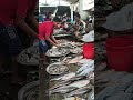 বাজারে নানা রকমের মাছের আমদানি #fish #fish #fishing #shorts