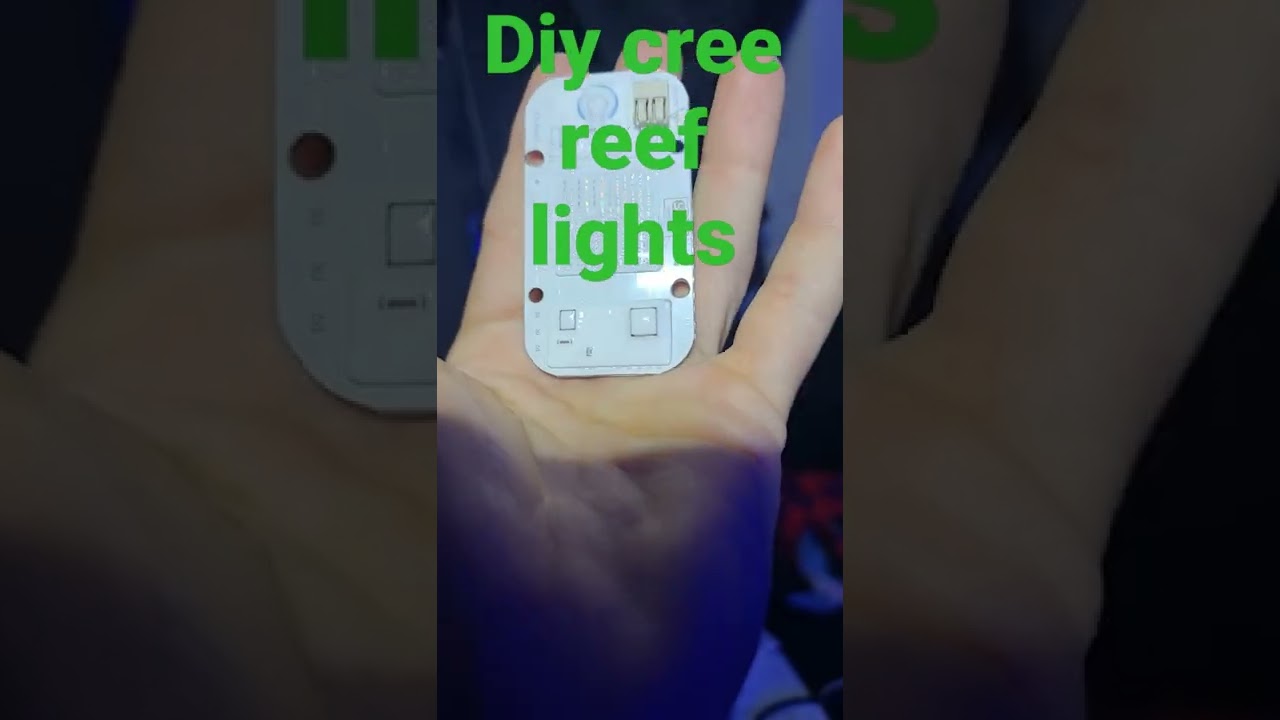 diy aquarium reef cree led coral lights 420nm blue and royal blue lights