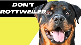 7 things you must never do to your rottweiler