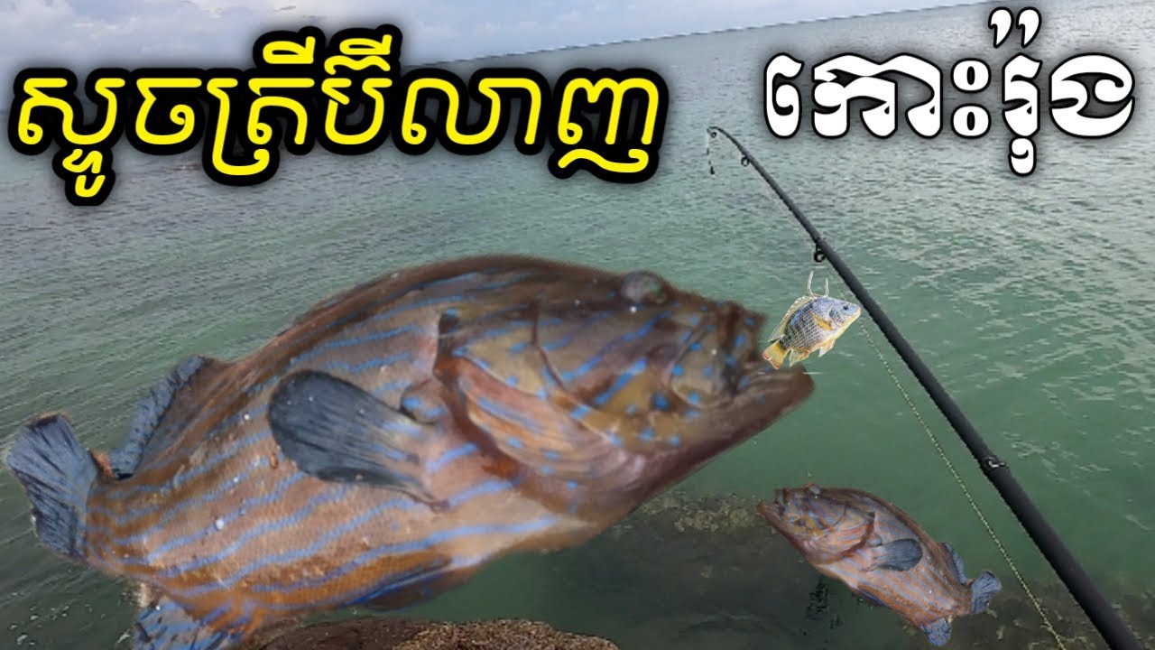 Koh Rong Fish Both fishing on the rock at koh rong - YouTube